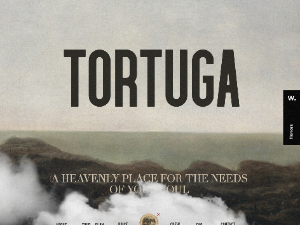 Tortuga Trip